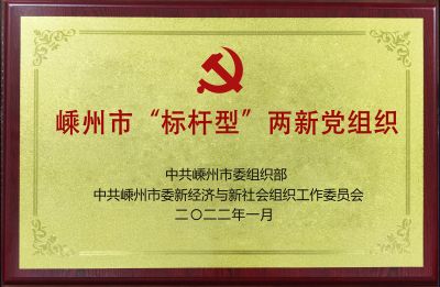 2022年嵊州市“标杆型”两新党组织